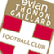 FUTBAL: Evian Thonon Gaillard - Tours (KO)